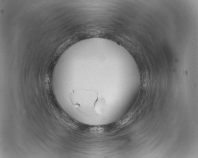 X0000069360279200606021500