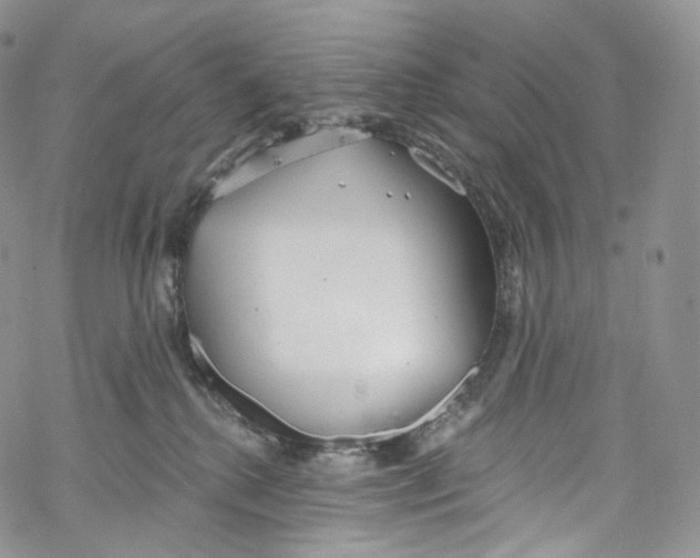 X0000069360280200606021500