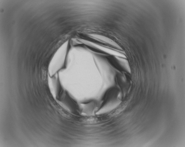 X0000069360281200606021500