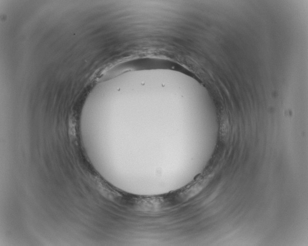 X0000069360282200606021500