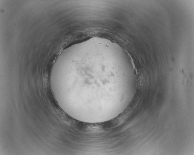 X0000069360283200606021500