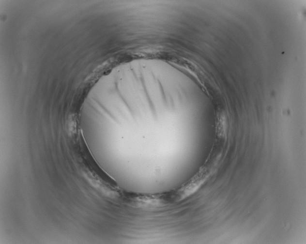 X0000069360284200606021500