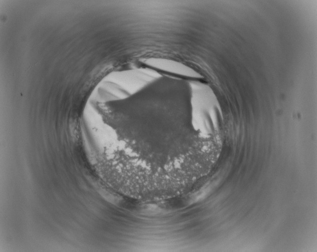 X0000069360285200606021500