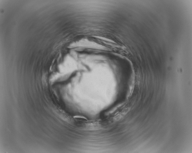 X0000069360286200606021501