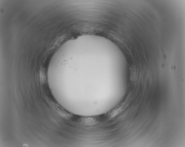 X0000069360287200606021501