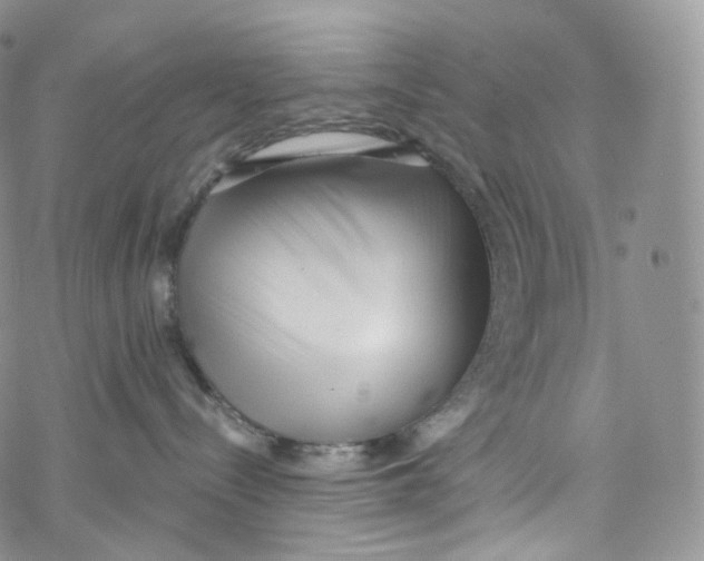 X0000069360288200606021501