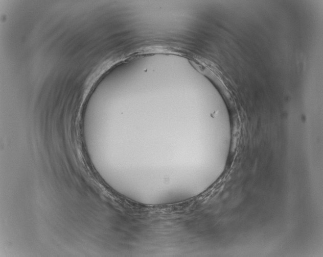 X0000069360289200606021500