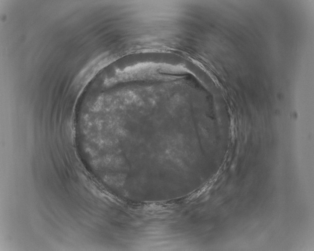 X0000069360290200606021500