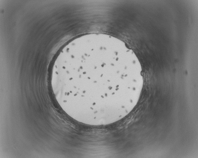 X0000069360292200606021500