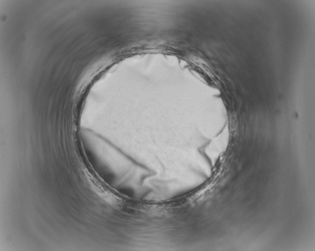 X0000069360293200606021500