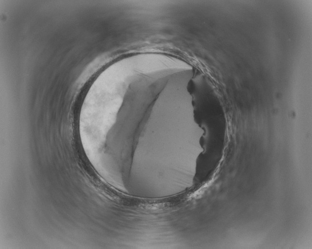 X0000069360295200606021500