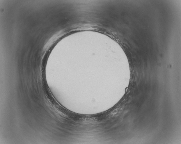 X0000069360296200606021500