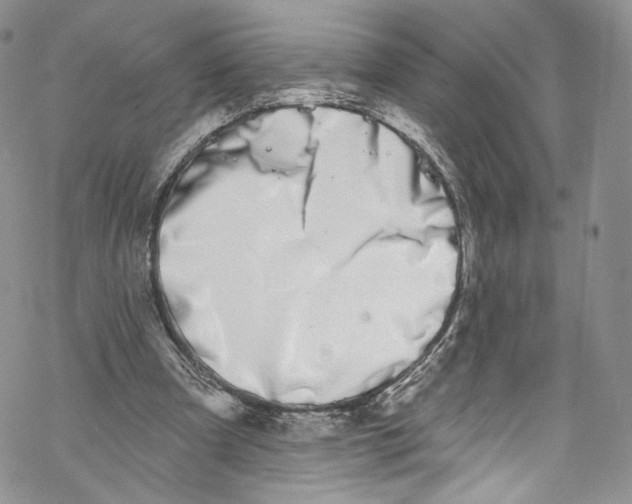 X0000069360297200606021500