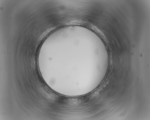 X0000069360298200606021500