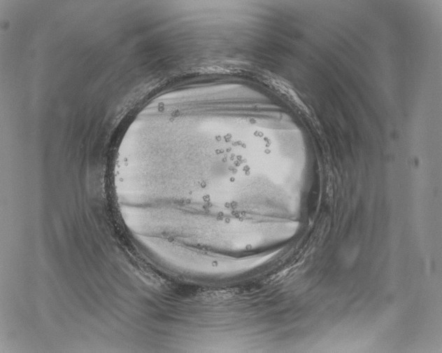 X0000069360299200606021500