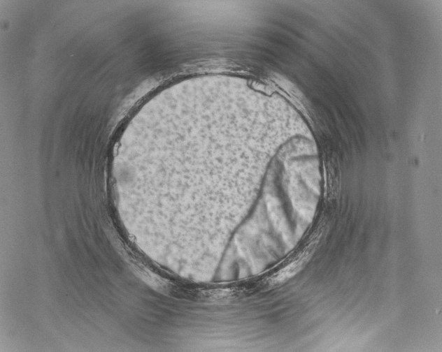 X0000069360301200606021500