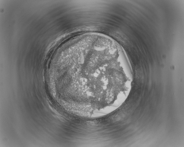 X0000069360302200606021500