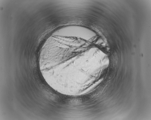 X0000069360303200606021500