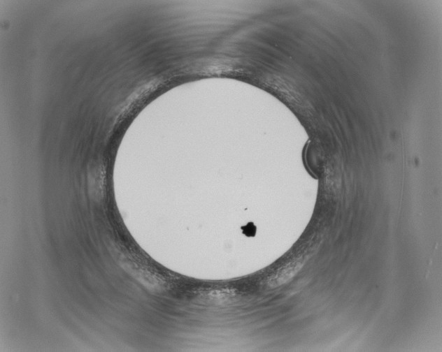 X0000069360304200606021500