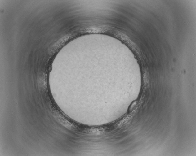 X0000069360305200606021500