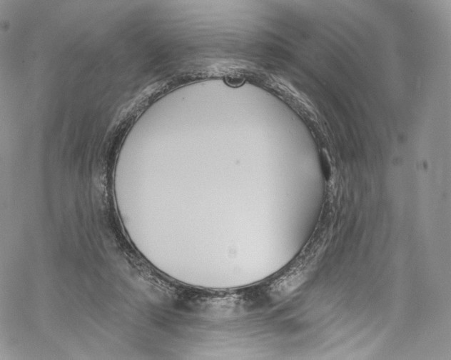 X0000069360306200606021459