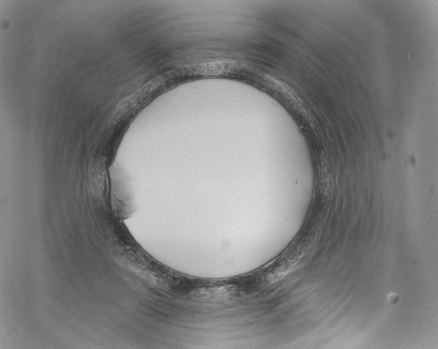 X0000069360307200606021459