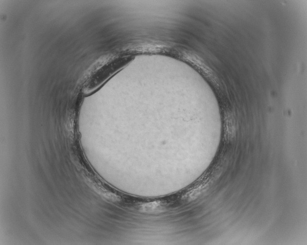 X0000069360309200606021459