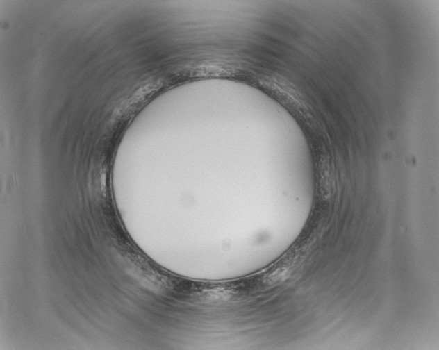 X0000069360310200606021459