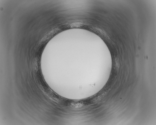 X0000069360311200606021459