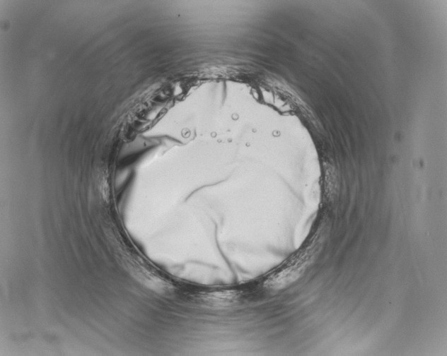 X0000069360313200606021459