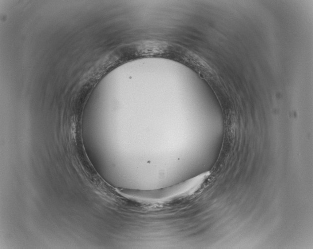 X0000069360315200606021459