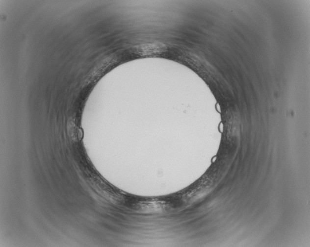 X0000069360316200606021459