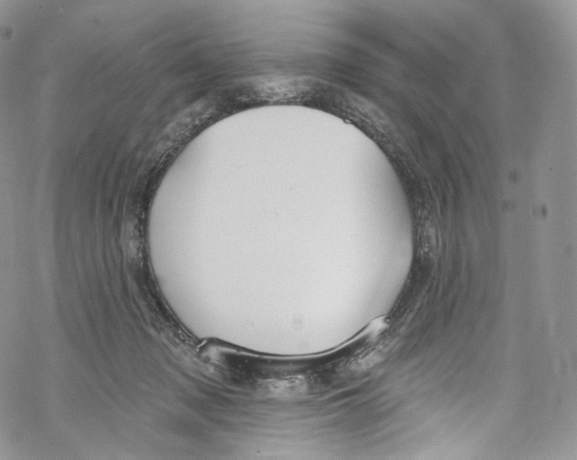 X0000069360317200606021459