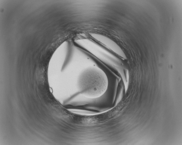 X0000069360319200606021459