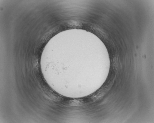 X0000069360320200606021459