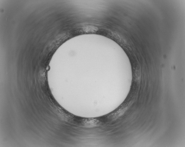 X0000069360321200606021459