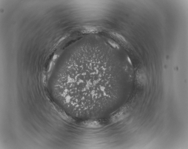 X0000069360322200606021459