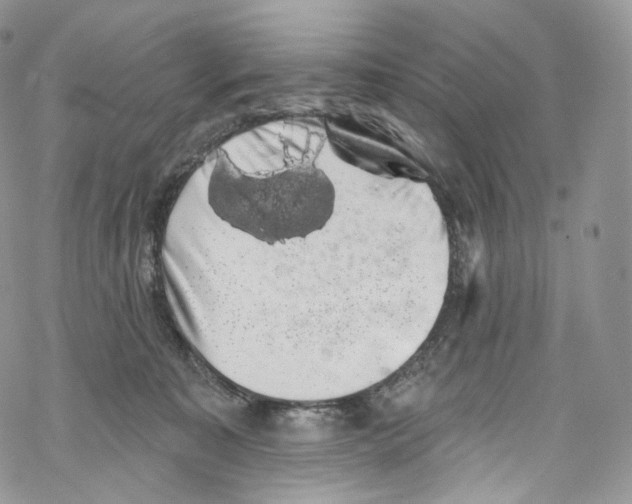 X0000069360323200606021459