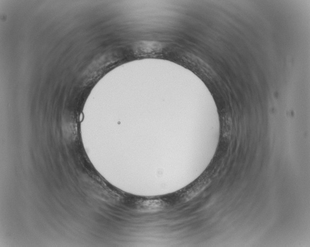 X0000069360324200606021459