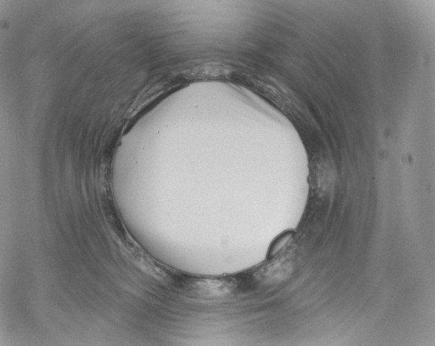 X0000069360326200606021459