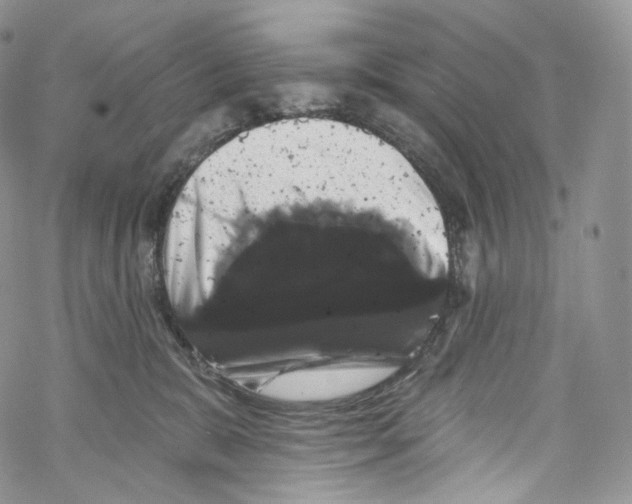 X0000069360327200606021459