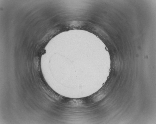 X0000069360328200606021459