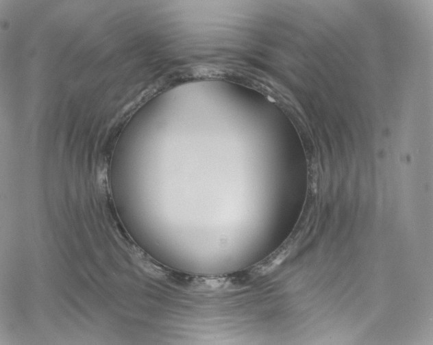 X0000069360329200606021459