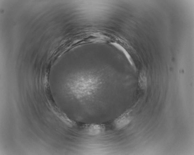 X0000069360330200606021459