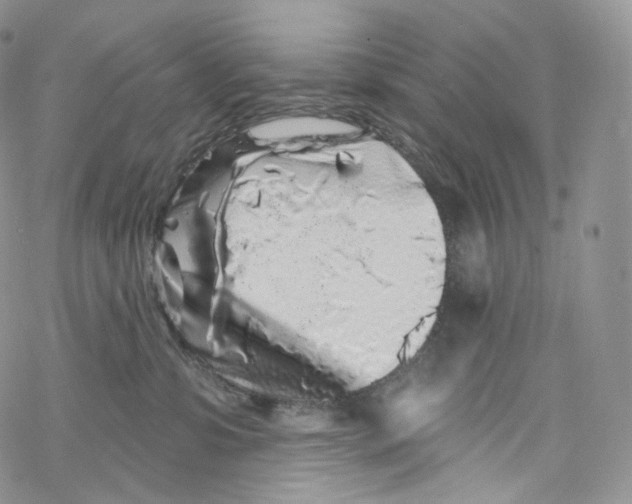 X0000069360331200606021459