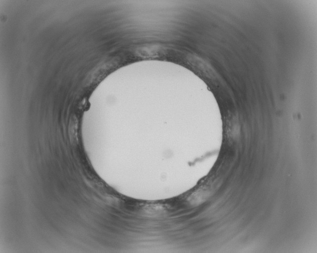 X0000069360332200606021459