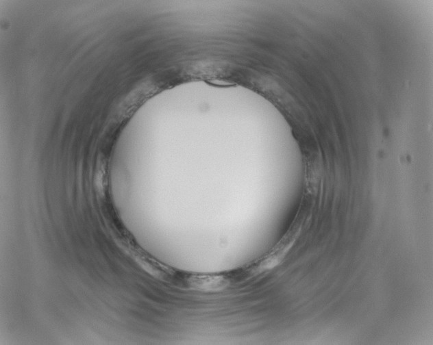 X0000069360334200606021459