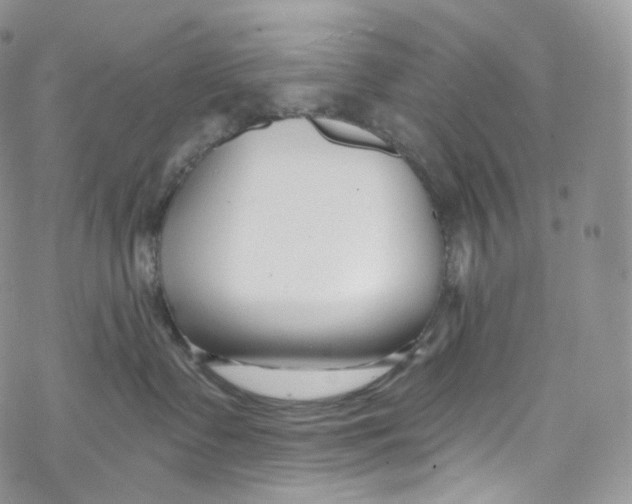 X0000069360335200606021459