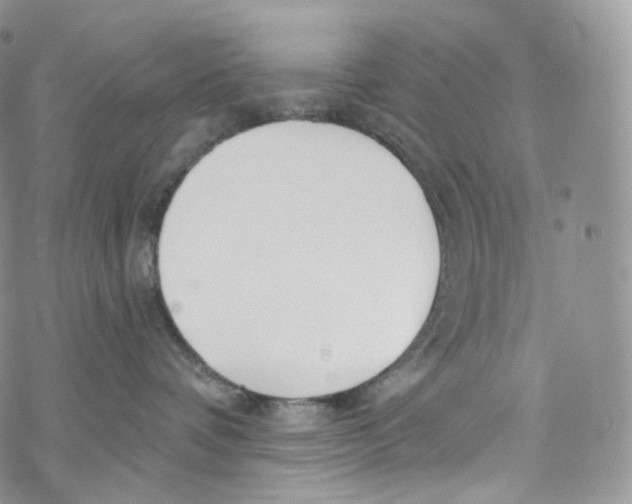 X0000069360336200606021459