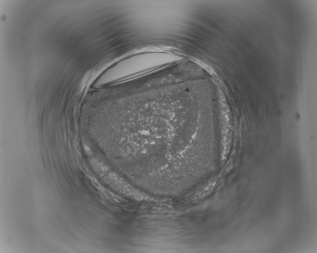 X0000069360337200606021458